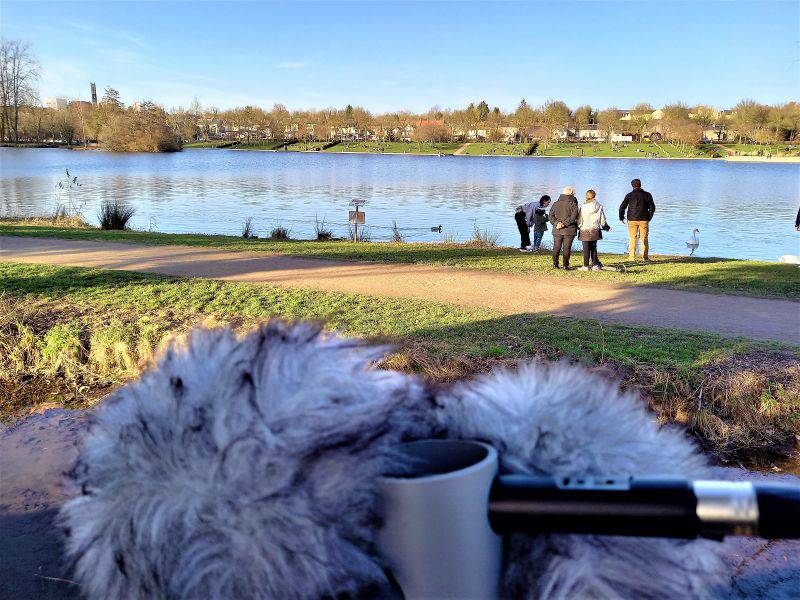 AMIENS – Au bord du lac du Parc st Pierre