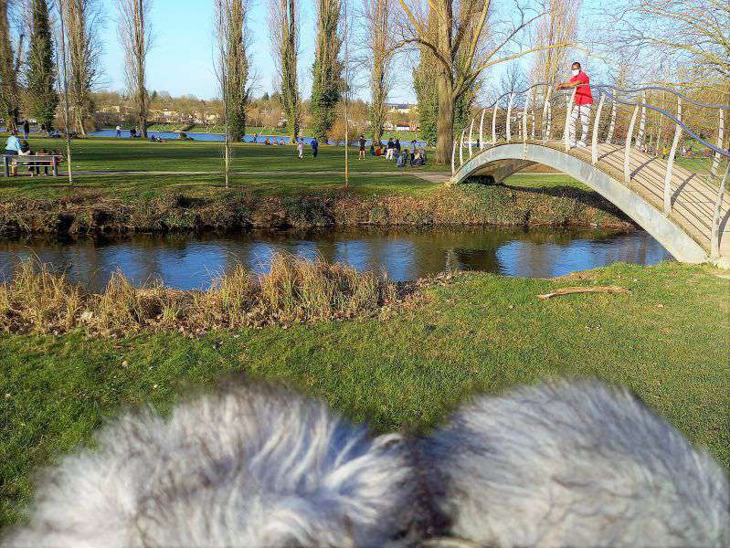 AMIENS – Promenade de l’arbre aux 40 écus du Parc st Pierre